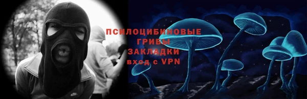 ПСИЛОЦИБИНОВЫЕ ГРИБЫ Володарск