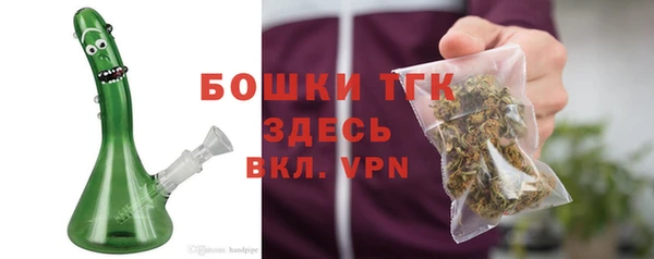 СК Волосово