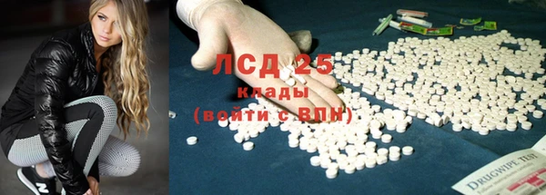 ПСИЛОЦИБИНОВЫЕ ГРИБЫ Волоколамск