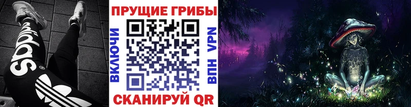 Галлюциногенные грибы GOLDEN TEACHER купить сайты Мценск