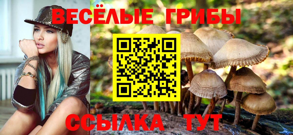 Галлюциногенные грибы мухоморы  Вход с VPN  купить  цена  Галлюциногенные грибы мухоморы  Мценск 
